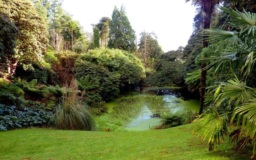 Great Gardens of Cornwall Sound Escapes